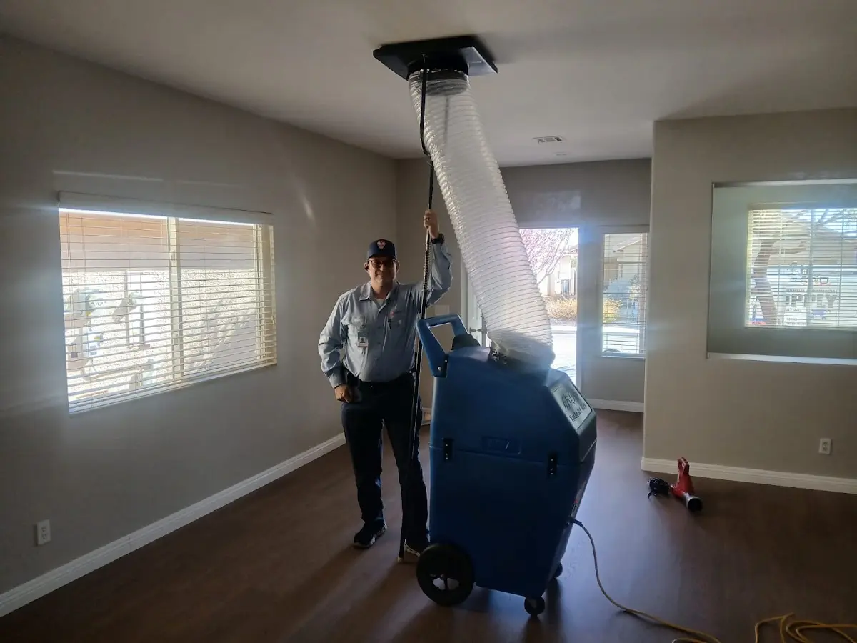 Professional Dryer Vent Cleaning work inside a Newport home